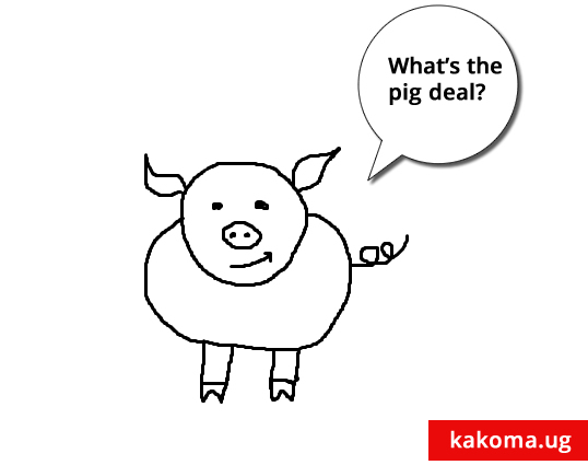 whats_the_pig_deal